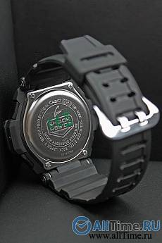 GW-4000-1A2