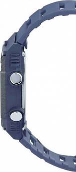 WS-B1000-2A